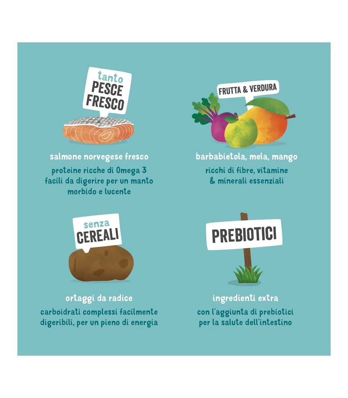 Edgard & Cooper Adult Carne Fresca Di Salmone Norvegese Senza Cereali 12 Kg - immagine 6