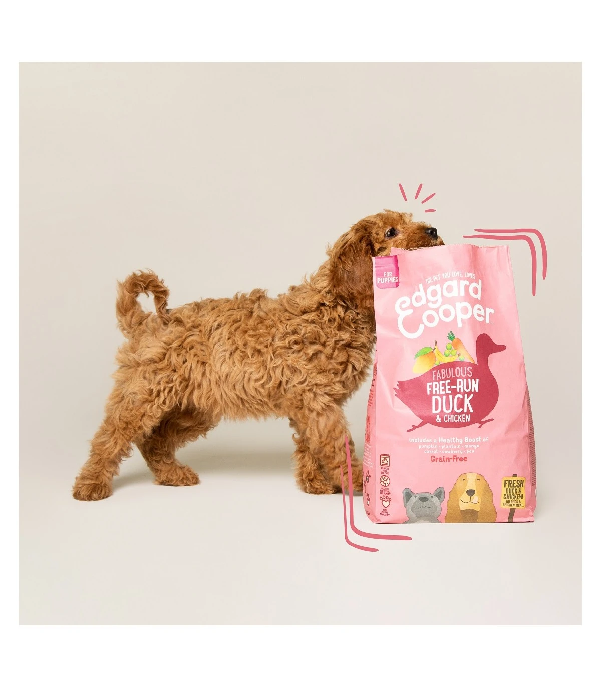 Edgard & Cooper Puppy Carne Fresca Di Anatra E Pollo Allevati A Terra Senza Cereali 7 Kg - immagine 9