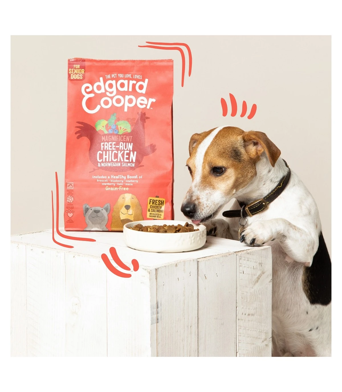 Edgard & Cooper Senior Carne Fresca Di Pollo Allevato A Terra E Salmone Norvegese Senza Cereali 2,5 Kg - immagine 3