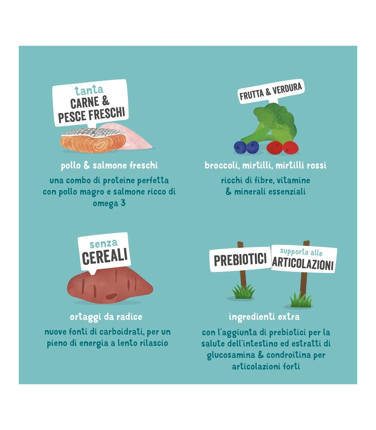 Edgard & Cooper Senior Carne Fresca Di Pollo Allevato A Terra E Salmone Norvegese Senza Cereali 2,5 Kg - immagine 5