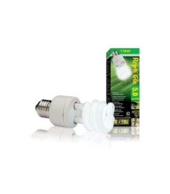 Exo Terra Uno LAMP 13W/5.0 REPTI GLO PT2186
