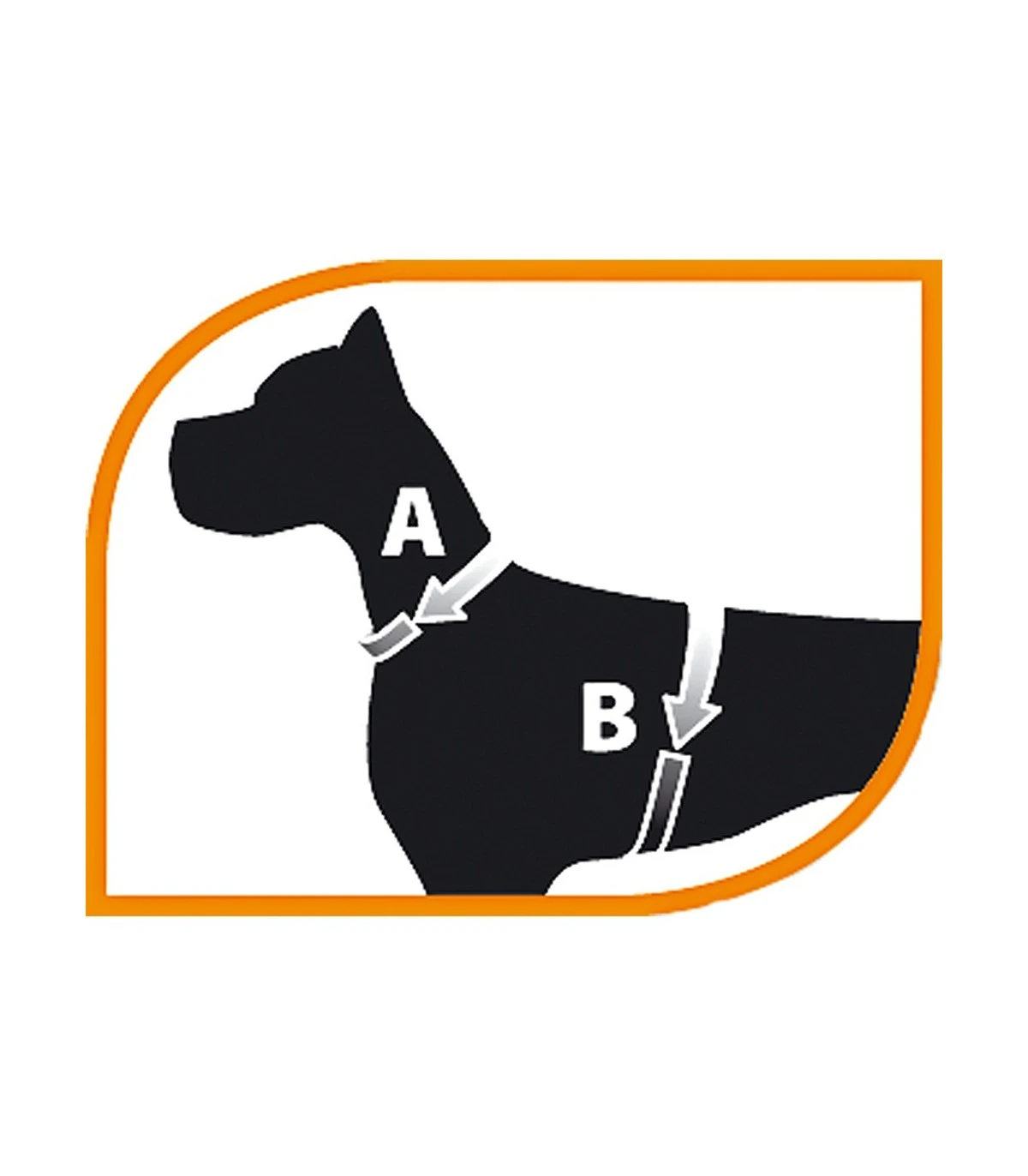 Ferplast Ergocomfort Nordic 2 Pettorina Con Maniglia - immagine 2