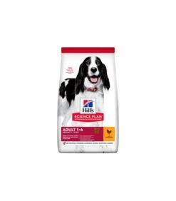 Hill's Science Plan Cane Adult Medium Pollo 2,5 Kg