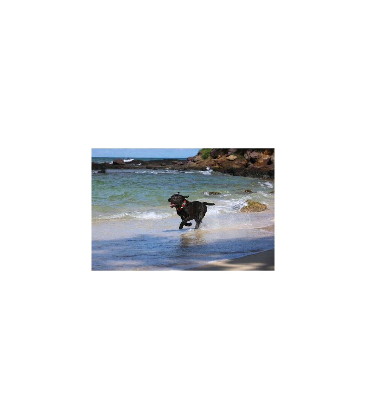 Hunter Collare Maui Vario Plus Taglia Medium Rosso - immagine 2