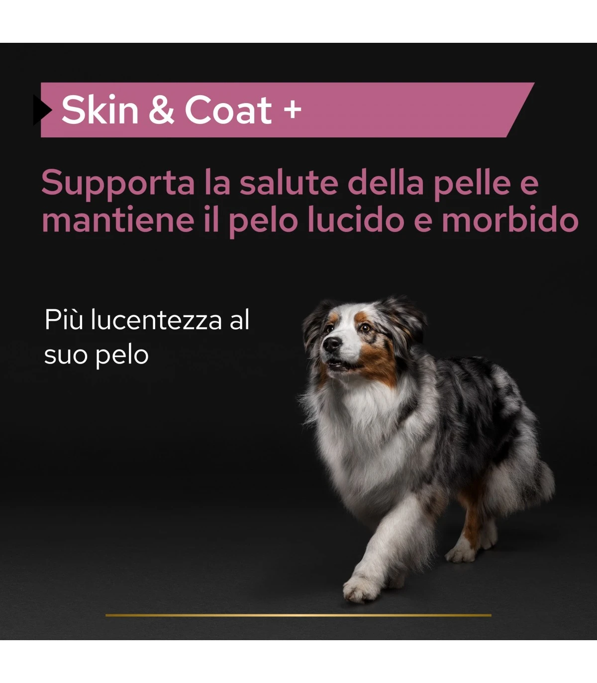 PURINA PRO PLAN Proplan Supplements Skin & Coat Cane 500 Ml - immagine 2