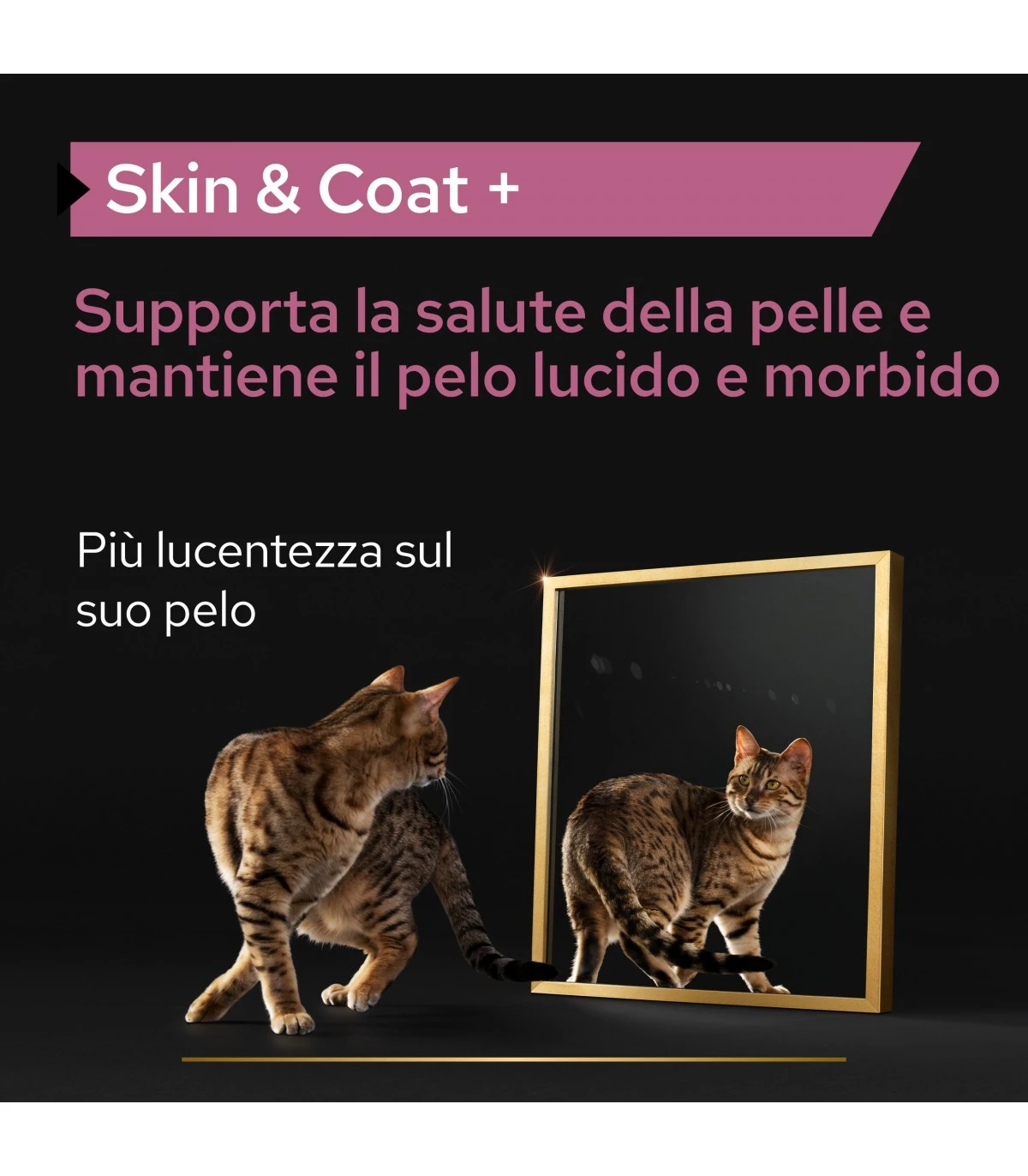PURINA PRO PLAN Proplan Supplements Skin & Coat Gatto 150 Ml - immagine 2
