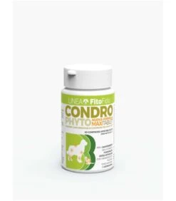Trebifarma Condro Phyto Maxi 60 Comprese 2 Gr