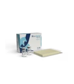 Vexoderm Sterile Dressing 10 X 7 Cm
